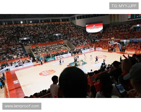 体育网娱乐市场竞争激烈，B体育网凭借创新赢得用户青睐